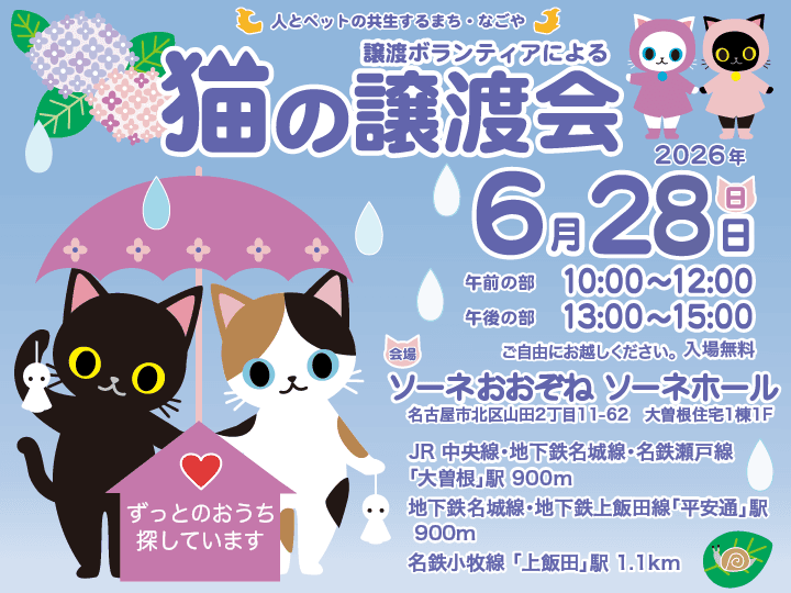 6月28日(日)猫の譲渡会のご案内