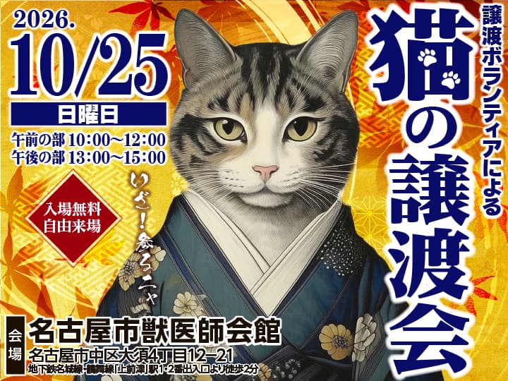 10月25日(日)保護猫の譲渡会のご案内【広報協力】